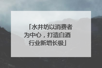 水井坊以消费者为中心，打造白酒行业新增长极