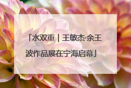 水双重｜王敏杰·余王波作品展在宁海启幕