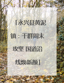 永兴县黄泥镇：干群周末攻坚 国道沿线焕新颜