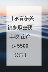 永春东关镇冬瓜喜获丰收 亩产达5500公斤