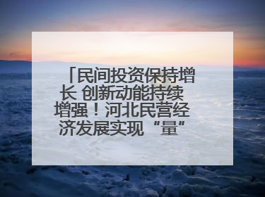 民间投资保持增长 创新动能持续增强！河北民营经济发展实现“量”“质”双提升