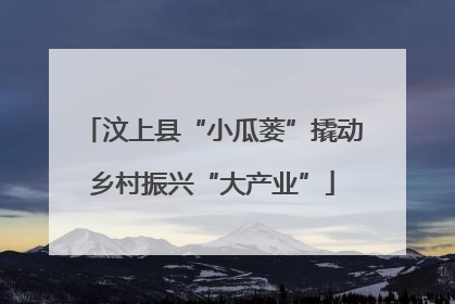 汶上县“小瓜蒌”撬动乡村振兴“大产业”