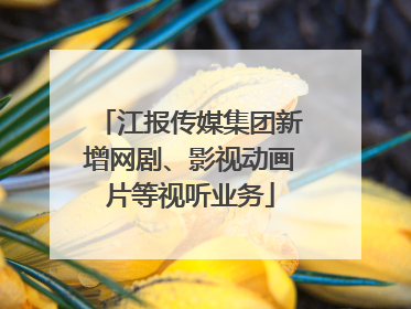 江报传媒集团新增网剧、影视动画片等视听业务