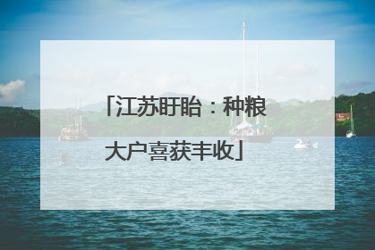 江苏盱眙：种粮大户喜获丰收