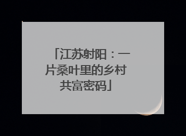 江苏射阳：一片桑叶里的乡村共富密码