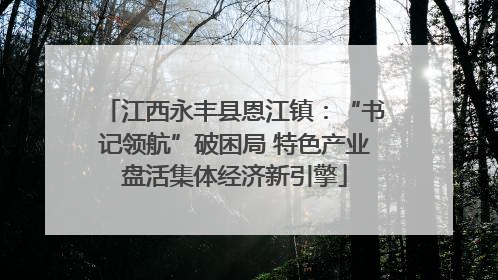 江西永丰县恩江镇：“书记领航”破困局 特色产业盘活集体经济新引擎