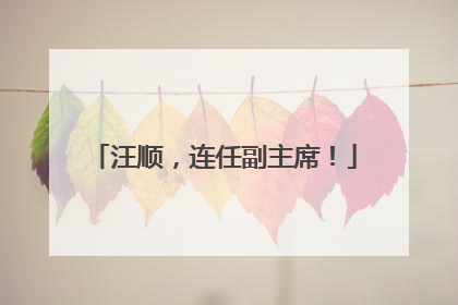 汪顺，连任副主席！