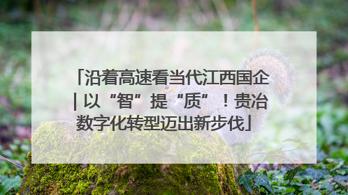 沿着高速看当代江西国企｜以“智”提“质”！贵冶数字化转型迈出新步伐