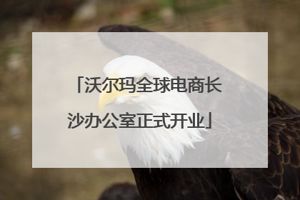 沃尔玛全球电商长沙办公室正式开业