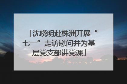 沈晓明赴株洲开展“七一”走访慰问并为基层党支部讲党课