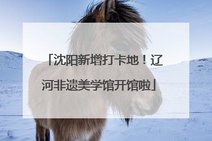 沈阳新增打卡地！辽河非遗美学馆开馆啦