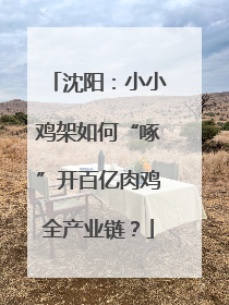 沈阳：小小鸡架如何“啄”开百亿肉鸡全产业链？