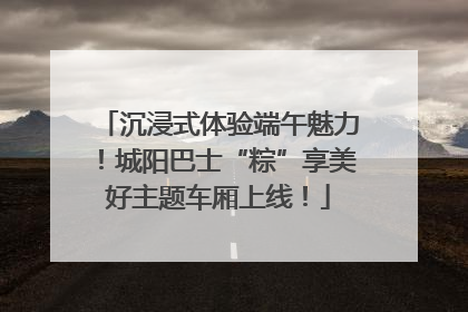 沉浸式体验端午魅力！城阳巴士“粽”享美好主题车厢上线！