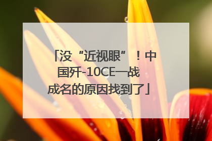没“近视眼”！中国歼-10CE一战成名的原因找到了