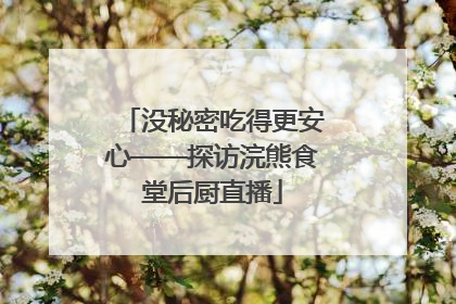 没秘密吃得更安心——探访浣熊食堂后厨直播