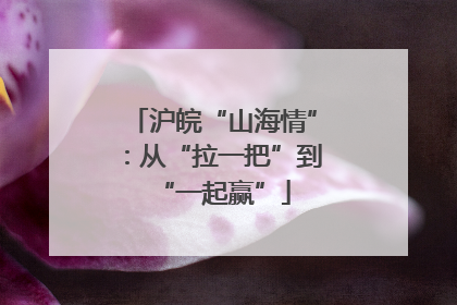 沪皖“山海情”：从“拉一把”到“一起赢”