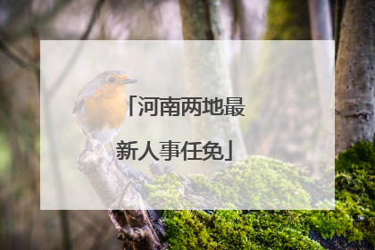 河南两地最新人事任免