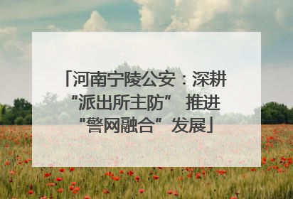 河南宁陵公安：深耕“派出所主防” 推进“警网融合”发展