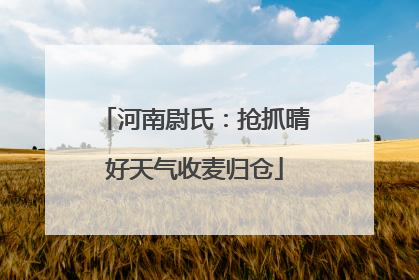 河南尉氏：抢抓晴好天气收麦归仓