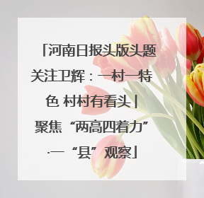 河南日报头版头题关注卫辉：一村一特色 村村有看头 ︳聚焦“两高四着力”·一“县”观察