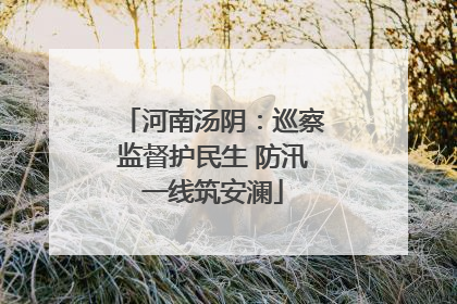河南汤阴：巡察监督护民生 防汛一线筑安澜