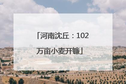 河南沈丘：102 万亩小麦开镰