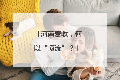 河南麦收，何以“顶流”？
