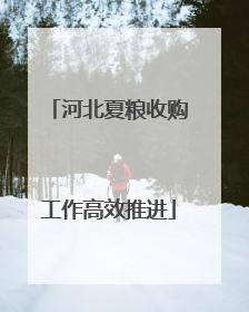 河北夏粮收购工作高效推进
