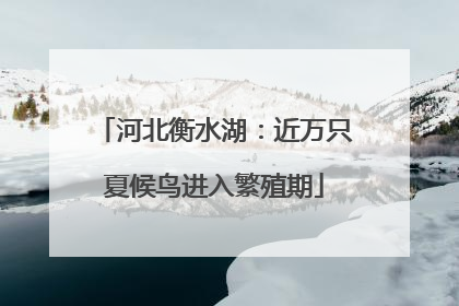 河北衡水湖：近万只夏候鸟进入繁殖期