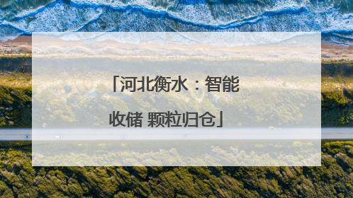 河北衡水：智能收储 颗粒归仓