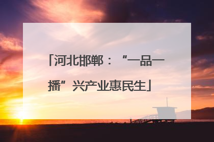 河北邯郸：“一品一播”兴产业惠民生