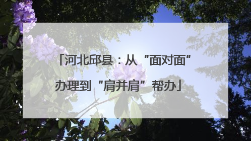 河北邱县：从“面对面”办理到“肩并肩”帮办