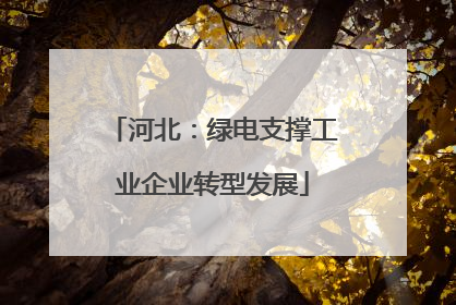 河北：绿电支撑工业企业转型发展
