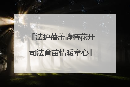 法护蓓蕾静待花开 司法育苗情暖童心