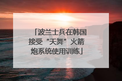 波兰士兵在韩国接受“天舞”火箭炮系统使用训练