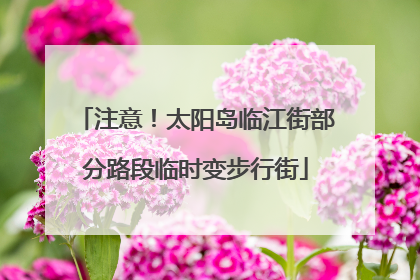 注意！太阳岛临江街部分路段临时变步行街