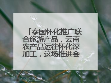 泰国怀化推广联合旅游产品，云南农产品运往怀化深加工，这场推进会干货很多