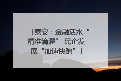泰安：金融活水“精准滴灌” 民企发展“加速快跑”