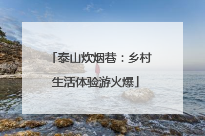 泰山炊烟巷：乡村生活体验游火爆