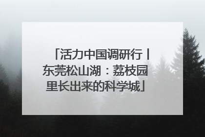 活力中国调研行丨东莞松山湖：荔枝园里长出来的科学城