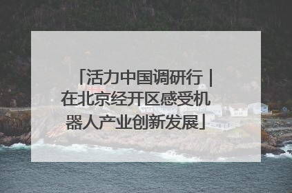 活力中国调研行｜在北京经开区感受机器人产业创新发展