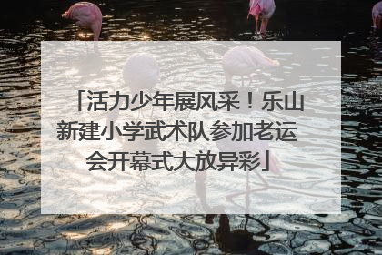 活力少年展风采！乐山新建小学武术队参加老运会开幕式大放异彩