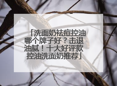 洗面奶祛痘控油哪个牌子好？击退油腻！十大好评款控油洗面奶推荐