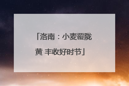 洛南：小麦覆陇黄 丰收好时节