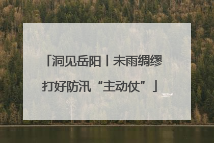 洞见岳阳丨未雨绸缪 打好防汛“主动仗”
