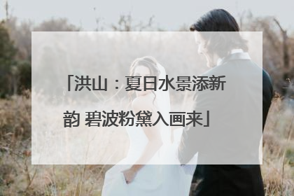 洪山：夏日水景添新韵 碧波粉黛入画来