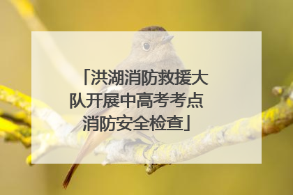 洪湖消防救援大队开展中高考考点消防安全检查