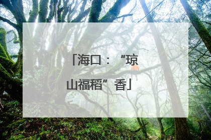 海口：“琼山福稻”香