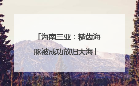 海南三亚：糙齿海豚被成功放归大海