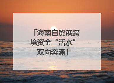 海南自贸港跨境资金“活水”双向奔涌